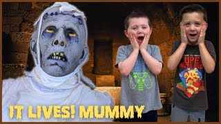 Distortions Unlimited Frightronic It Lives Mummy  Unbox Setup Halloween Animatronic  Mummy Prop [upl. by Ninel587]