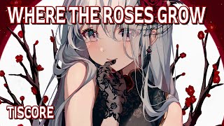 Nightcore  Where The Roses Grow Tiscore Lyrics [upl. by Electra10]