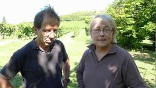 Pierre dHeilly et Martine Huberdeau pionniers du vin bio en Bourgogne [upl. by Donnamarie]