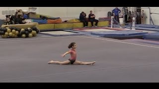 Hayleys 3rd Level 3 Gymnastics Meet  elleoNyaH [upl. by Season]