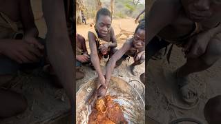 Coke baboon souphadzabetribe africa cookingfood wildlife [upl. by Babbie]