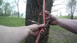 How to tie the Distel hitch  Arborist knot tying [upl. by Anen234]