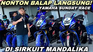 BLUCRU YAMAHA SUNDAY RACE 2024 MANDALIKA INTERNATIONAL CIRCUIT [upl. by Kopaz688]