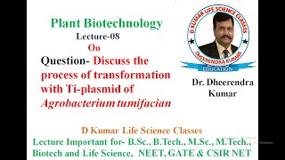 Plant BiotechProcess of gene transformation with Ti plasmid of Agrobacterium by Dr Dheerendra kumar [upl. by Earvin]