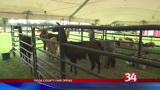 Tioga County Fair Opens [upl. by Dlabihcra988]