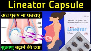 1 कैप्सूल ही बढ़ा देगा करोड़ों शुक्राणुLineator capsules for sperm count in hindi Lineator capsule [upl. by Yelah]