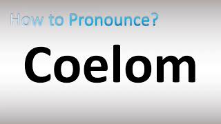 How to Pronounce Coelom [upl. by Alenairam]