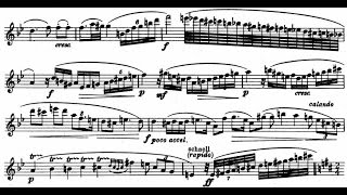 Richard Strauss  Oboe Concerto TrV 292 1945 [upl. by Idnat]