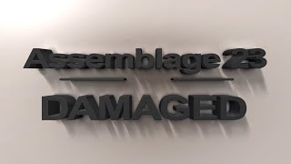 Assemblage 23  Damaged REMIX [upl. by Vanzant672]