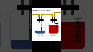 How to Manage Pneumothoraces [upl. by Nylatsirhc519]