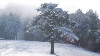 Srbija Moja zemlja Moje putovanje  Planine Srbije [upl. by Aniahs]