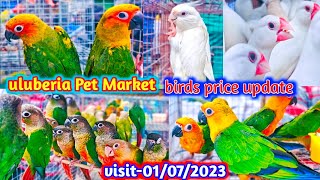 Uluberia pet market  Birds pirce updated 01072023 Uluberia pakhir haat sale petvlogcheapest [upl. by Najib]