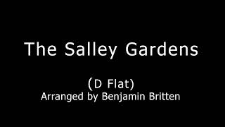 The Salley Gardens [upl. by Nosduj]