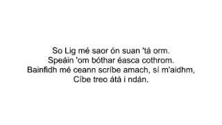 Wake Me Up as Gaeilge Lyrics  TG Lurgan vs Avicii [upl. by Zinck]