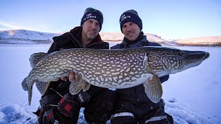 MultiSpecies Ice Fishing Tips amp Tricks Fishing Geeks [upl. by Nomrej638]