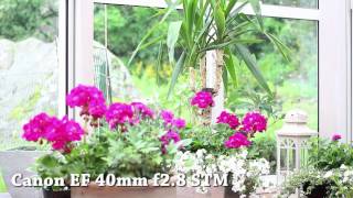 Canon EOS 650D  Video Auto Focus and AF soundnoise test  40mm f28 STM vs 50mm f18 1080p [upl. by Sekofski]