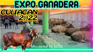 FERIA GANADERA CULIACAN 2022 PRESENTES LAS MEJORES GANADERIAS DE SINALOA 🐴🐴🐴 [upl. by Aundrea908]