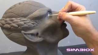 Simbiox Sculpting Armature and Rotomolding [upl. by Buckler]