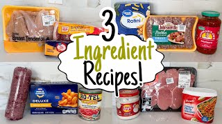 3 INGREDIENT DINNERS  5 Cheap amp Easy Meals You Only Need 3 Ingredients to Make  Julia Pacheco [upl. by Odab]