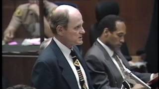 OJ Simpson Trial  September 11th 1995  Part 3 [upl. by Wurster]