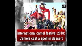 International camel festival 2018 Camels cast a spell in dessert  Rajasthan News [upl. by Ilime514]