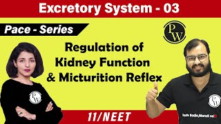 Excretory System 03  Regulation Of Kidney Function  Micturition Reflex  Class 11  NEET [upl. by Ainahs]