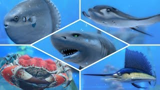 How To Catch ALL Fish amp Shark In Nintendo Labo Fishing [upl. by Naasah317]