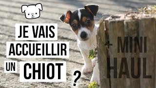 Je vais accueillir un chiot   mini haul [upl. by Kally869]