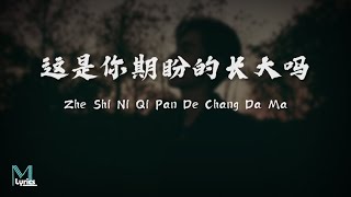 ZQS  Zhe Shi Ni Qi Pan De Chang Da Ma 这是你期盼的长大吗 Lyrics 歌词 PinyinEnglish Translation 動態歌詞 [upl. by Ayahsal]