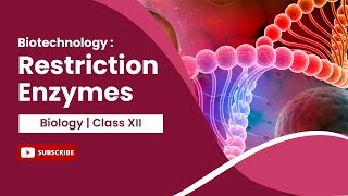 Restriction Enzymes  Biotechnology  Principles and Processes  Biology  Class 12 [upl. by Cresa264]