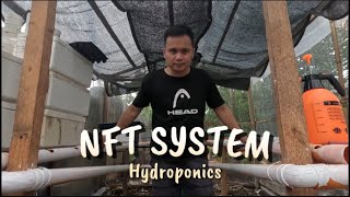 Building my Small NFT Hydroponic System  Macjem Estose [upl. by Jaime]