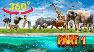 360°Thrissur zoo and museum part 1 360° sarathtv 360video kerala zoo museum [upl. by Leerzej]