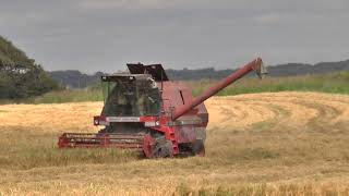 Harvest 24 Scotland Classic MF 27 Combine JD 6810 Tractor 12072024 [upl. by Aillimac]