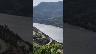 Vinho do Porto Quinta do Seixo Sandeman Sogrape Wine Bar Douro Valley douro v [upl. by Anirtak]