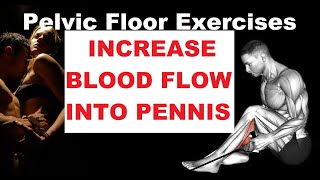 Kegel Exercises Increase Blood flow Into Pennis [upl. by Highams244]