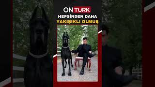 Akımı köpeğiyle yapmak istedi ortaya gülümseten bu görüntüler çıktı [upl. by Juni]