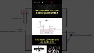 Percobaan Membuktikan Larutan Elektrolit dan Non Elektrolit [upl. by Skeie440]