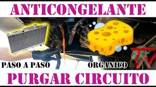 Como limpiar y PURGAR CIRCUITO de REFRIGERACION RADIADOR coche 🚿💯 [upl. by Nicole471]