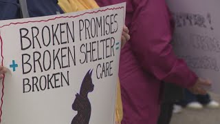 Rally held at City of Buffalo Animal Shelter to protest overcrowding [upl. by Ilsa]