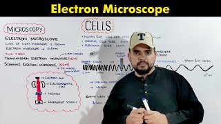 Electron Microscope Transmission and Scanning Electron Microscope O amp A Level Biology [upl. by Ellis]