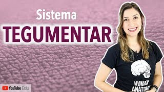 Sistema Tegumentar 14 Introdução  Anatomia etc [upl. by Atiuqat]