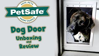 PetSafe Dog Door Unboxing amp Review [upl. by Karp]