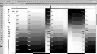 Making Adjustment Curves for photogravures polymer [upl. by Alekat]