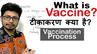 What is vaccination  vaccine kya hai  How vaccines work [upl. by Schoenberg]