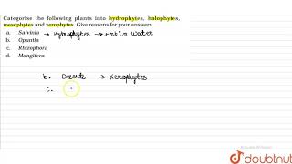 Categorise the following plants into hydrophytes halophytes mesophytes and xerophytes [upl. by Kareem]