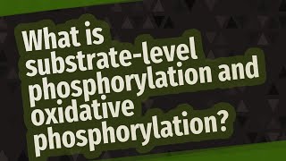 What is substratelevel phosphorylation and oxidative phosphorylation [upl. by Burg]