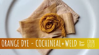 HOW TO MAKE ORANGE DYE WITH COCHINEAL amp WELD  ORGANIC COLOR  WOOL SILK COTTON  RAINBOW PALETTE [upl. by Godard]