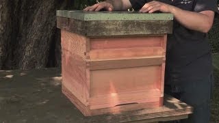 How to Make your Own Beehive [upl. by Muncey]