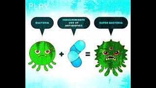 SUPER BACTERIA RESISTENTE A LOS ANTIBIOTICOS [upl. by Sandell]