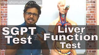 SGPT blood test in Hindi [upl. by Romola987]